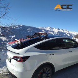 Porte Ski & Snowboard à ventouses pour Tesla | Treefrog