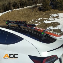 Porte Ski & Snowboard à ventouses pour Tesla | Treefrog